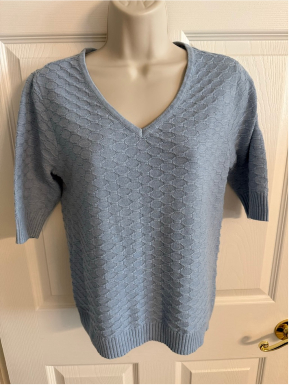 Ella Moss short sleeve light weight sweater light blue size small